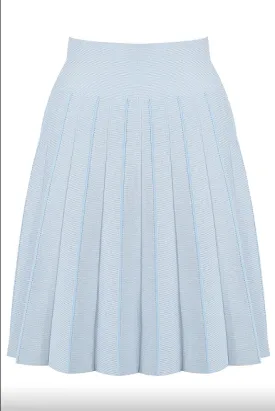 Kimberly - Pale Blue Pleated High Waisted Skirt