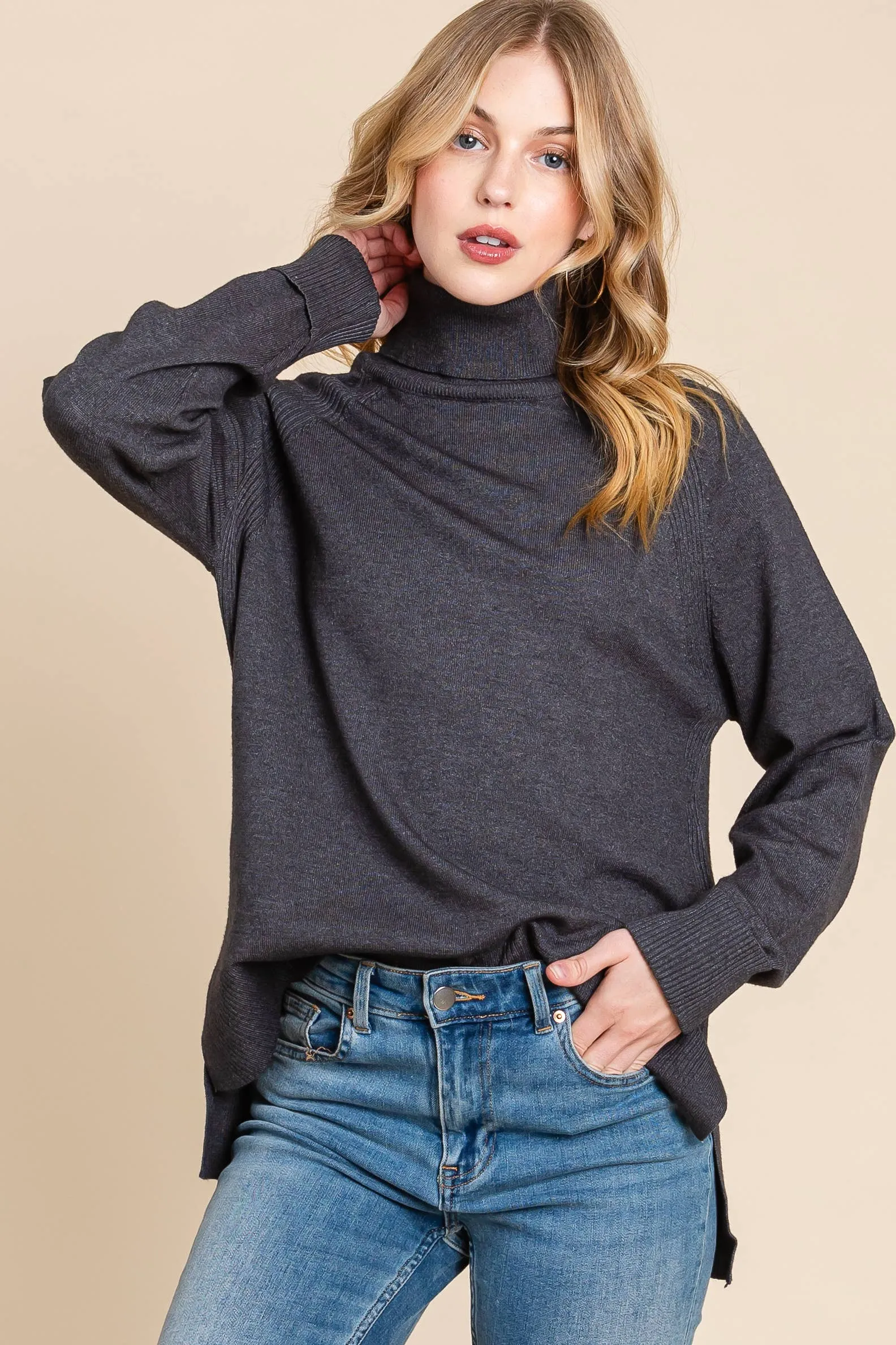 Turtleneck Solid Sweater