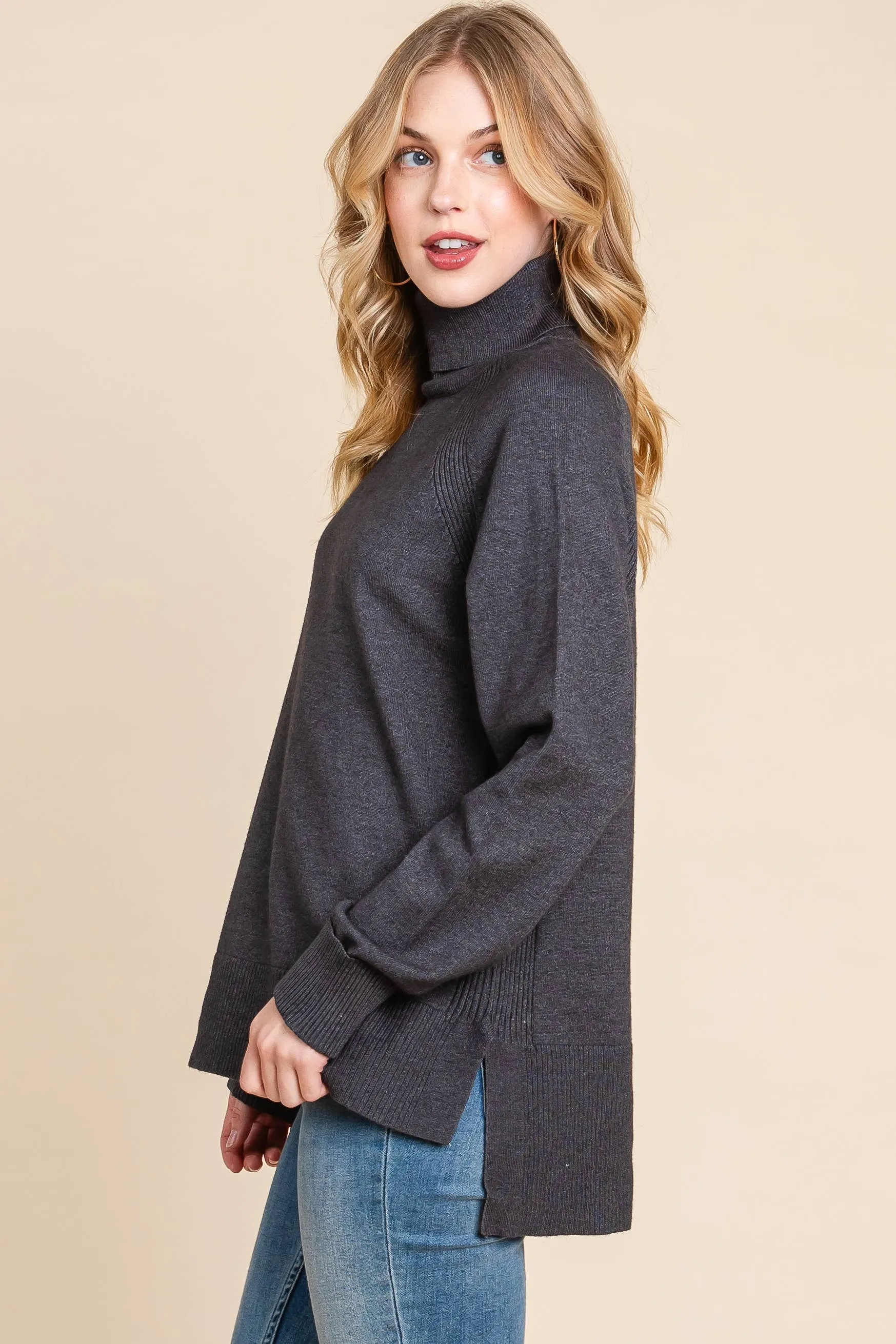 Turtleneck Solid Sweater