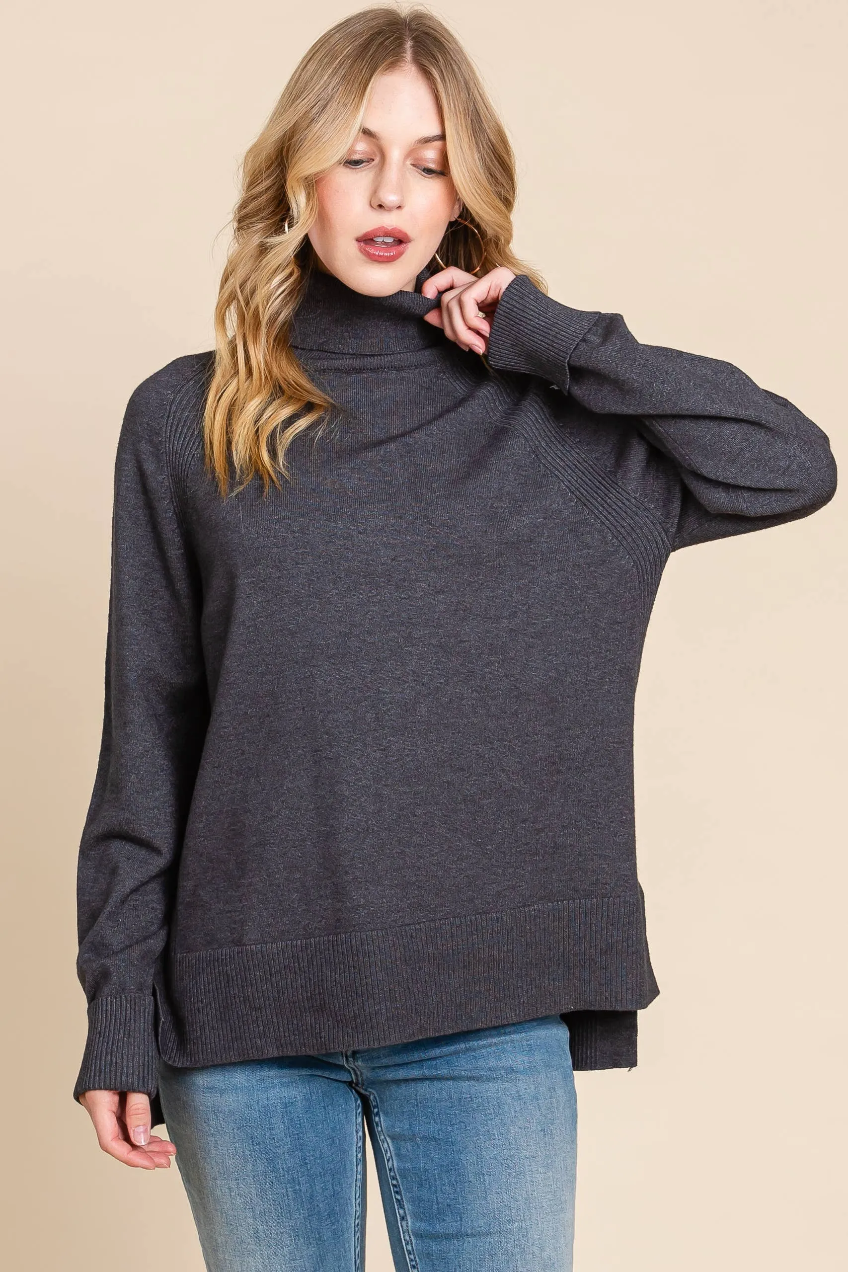 Turtleneck Solid Sweater